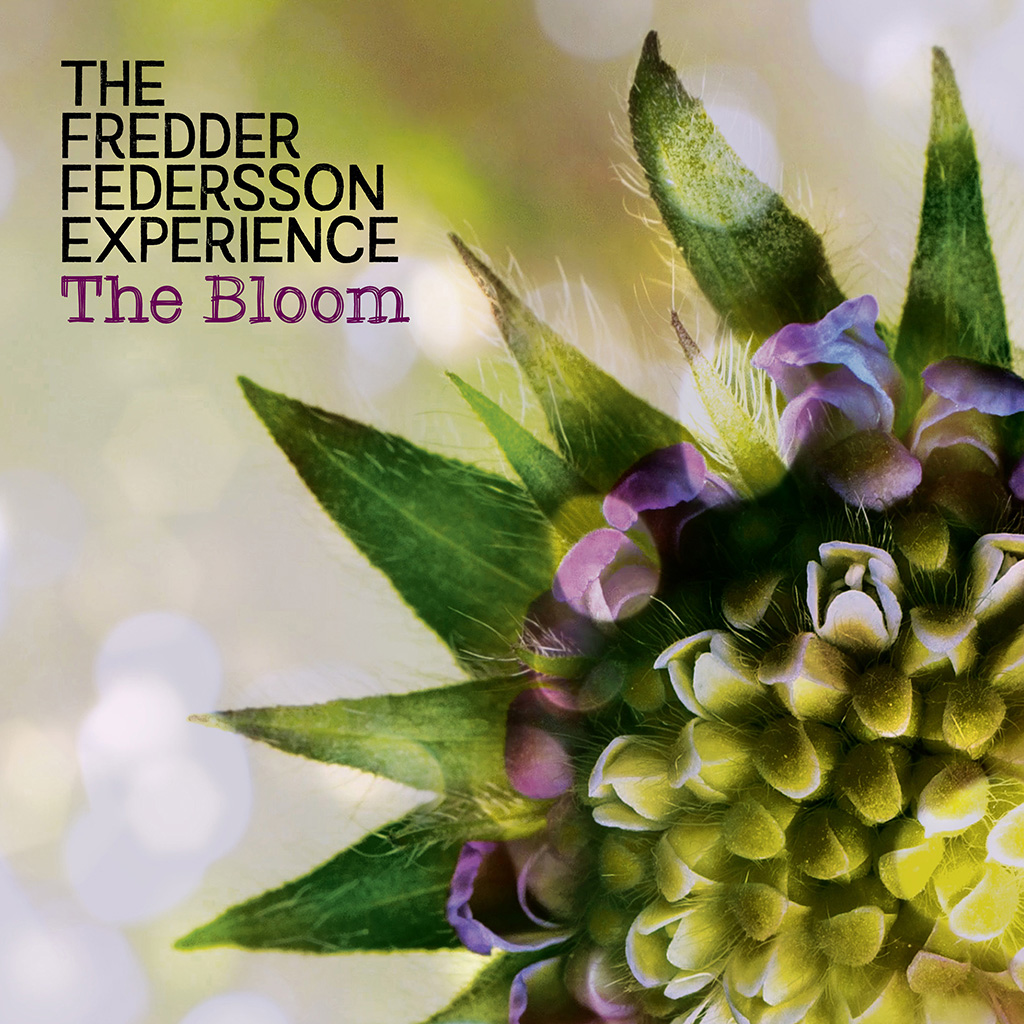 The Bloom